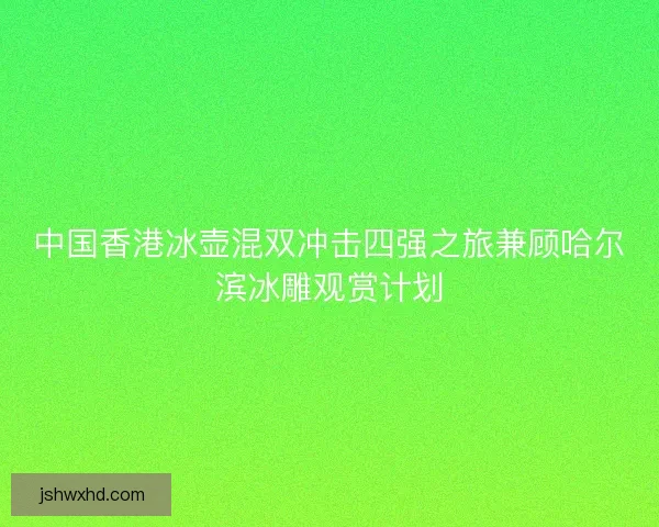 中国香港冰壶混双冲击四强之旅兼顾哈尔滨冰雕观赏计划