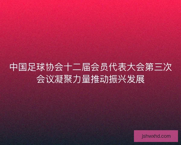中国足球协会十二届会员代表大会第三次会议凝聚力量推动振兴发展
