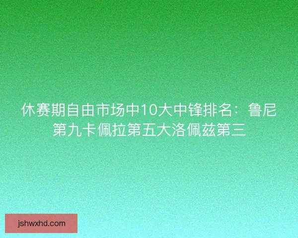 休赛期自由市场中10大中锋排名:鲁尼第九卡佩拉第五大洛佩兹第三 休赛期自由市场中10大中锋排名:鲁尼第九卡佩拉第五大洛佩兹第三