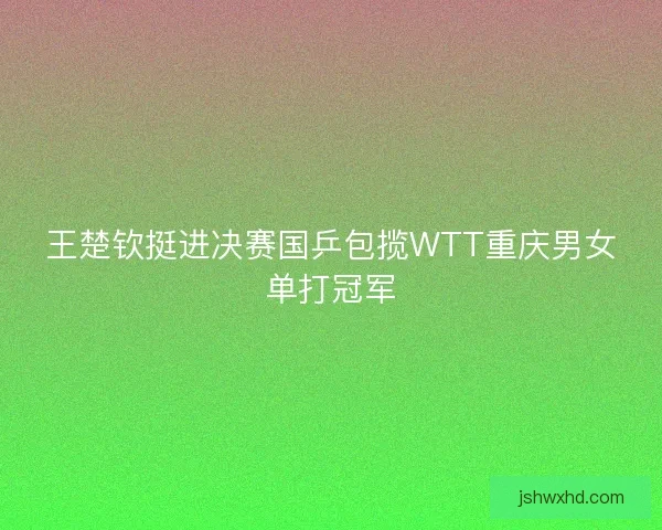 王楚钦挺进决赛国乒包揽WTT重庆男女单打冠军 王楚钦挺进决赛国乒包揽WTT重庆男女单打冠军